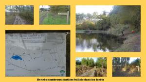 Chalets A BIAS Chalet 4 a 6 Personnes Entierement Climatise Chargeur VE 7kw-Wifi-Balneo et Piscine : photos des chambres