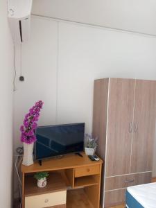 Apartment Mladen