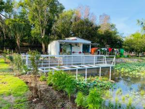Farm Ao Sen - Hồ bơi chung