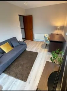 Ard Falcon - 金塞尔