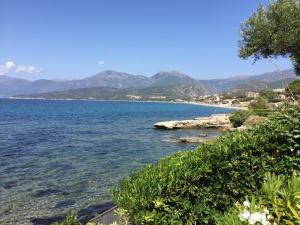 Maisons de vacances Maison pieds dans l eau St Florent : photos des chambres