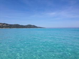 Maisons de vacances Maison pieds dans l eau St Florent : photos des chambres