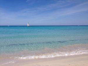 Maisons de vacances Maison pieds dans l eau St Florent : photos des chambres