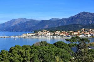 Maisons de vacances Maison pieds dans l eau St Florent : Maison 3 Chambres