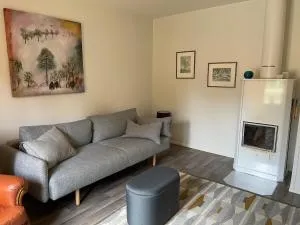 Apartment Hillankukka - 赫塔