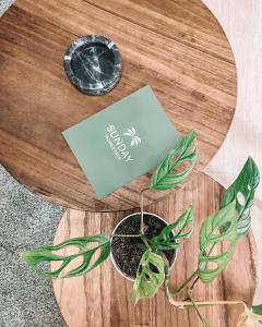 2 Bedroom Apartment Near The Beach