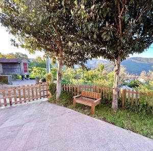 Casa Amarela - Mondim de Basto