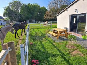 Maisons d'hotes La suite d'Elise avec jaccuzi : photos des chambres