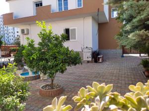 Vila Cikaj