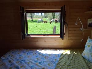 Campings Roulotte Hanami : photos des chambres