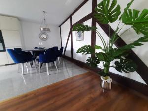 Apartament Ordona 5A