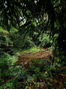 Casita Greenacres Homestay