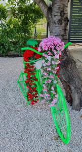 Holiday home "Olive tree", with pool - Best Host 2025