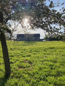 Maisons de vacances Gite de la lanterne : photos des chambres