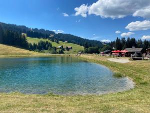 Appartements Chaleureux appartement renove ambiance chalet : photos des chambres