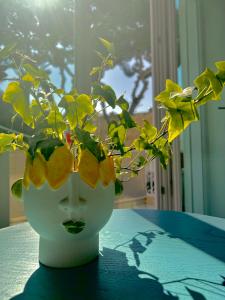 Cerio Guest House