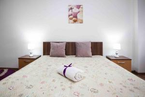 Camarad’s house - lovely apartment in Alba Iulia