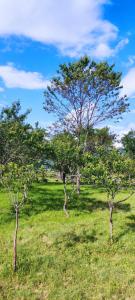 Weekend house in the Piva nature park