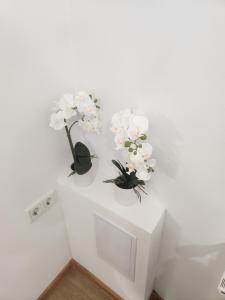 APARTMAN OAZA ZAGREB 42 m2 with Free Parking Self Check-in