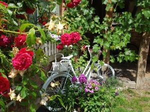 Romantisches Rosencottage