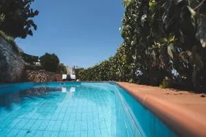 Labyrinth. The Wild life of Crete - Nerokoúros