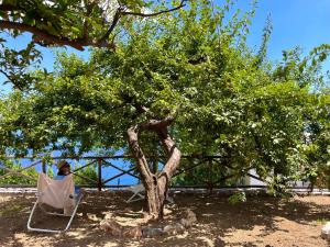 Nira - Smart & Luxury Home