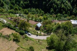 Hotel Voisa/სასტუმრო ვოისა