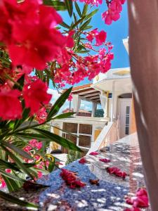 Apartments Dumic Crikvenica 