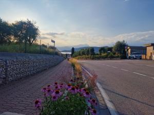 Appartamenti a Bardolino