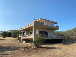 Spacious House, next to Best Beaches near Athens. - 阿纳维索斯