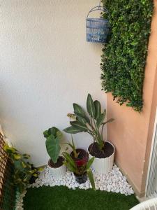 Apartamento Costa Azul