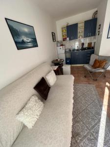 Milinovic apartmani1