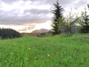 Tarska kuća za odmor