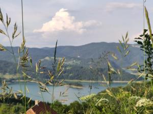 Tarska kuća za odmor