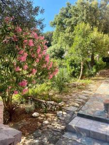 Maisons de vacances Bas de villa T3 sur santa maria di lota : photos des chambres