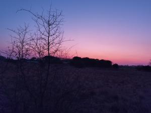 Kings View Exclusive Villas (KVEV)