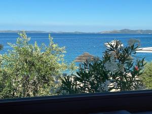 BUQEZ ECO RESORT 