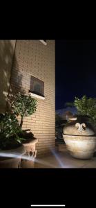 B&B Villa Colomba img45