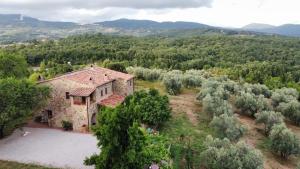 Sport Bikes and Nature