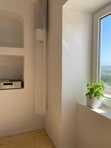 Casa Figo - Historic Center near Castle