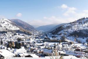 Chalets Fenetre sur les cretes Vosgiennes : photos des chambres