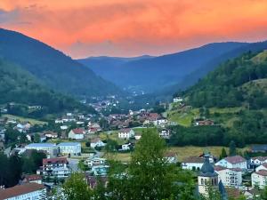 Chalets Fenetre sur les cretes Vosgiennes : photos des chambres