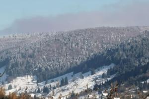 Chalets Fenetre sur les cretes Vosgiennes : photos des chambres