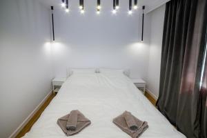 Apartament Alpaka 1