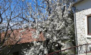 Anovolios Boutique Hotel Pelion Greece