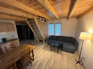 Domki całoroczne STAWIK - Duninowo