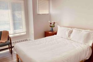Unit #201 Cozy Mountain View 1BR in DT