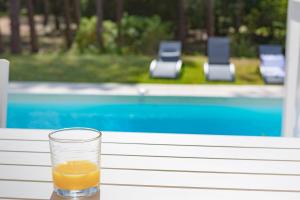 villa piscine chauffée 10pers dans cadre exceptionnel-AG19