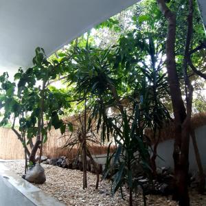 Apartments Duce (122)