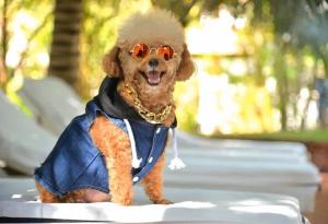 Full Moon Village Resort